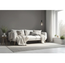 Wohnzimmer mit Sofa, Teppich und Dekoration für eine wohnliche Atmosphäre