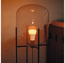 Stehlampe mit Glaskuppel und eingeschalteter Glühbirne