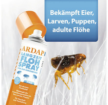 Ardap Langzeit Flohspray zur Umgebungsbehandlung gegen Flöhe