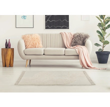 Wohnzimmer mit Sofa, Kissen, Decke, Holztisch, Vasen, Teppich und Zimmerpflanze