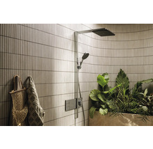 Badezimmer mit Dusche, Deko-Pflanzen und Accessoires