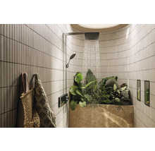 Badezimmer mit Dusche, Pflanzen und Handtüchern.