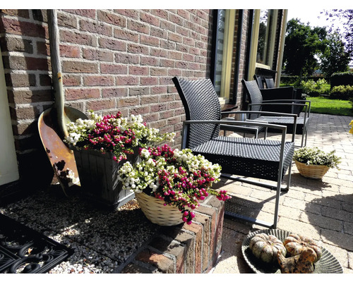 Terrasse mit Gartenmöbeln, Pflanzgefäßen und Dekorationen vor einer Backsteinmauer.