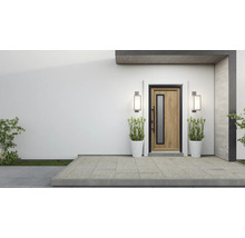 Moderne Haustür mit Glaseinsatz, flankiert von zwei Aussenleuchten und Pflanzenkübeln.