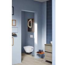 Badezimmer mit Wand-WC, Waschtisch und Dekoartikeln für eine moderne Einrichtung