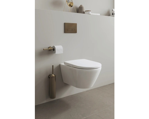Wand-Tiefspültoilette im Badezimmer mit Toilettenbürste, Toilettenpapierhalter und Betätigungsplatte