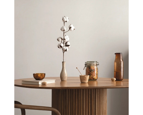 Dekorativer Tisch mit Schale, Vase mit Baumwollzweig, Vorratsglas und Karaffe