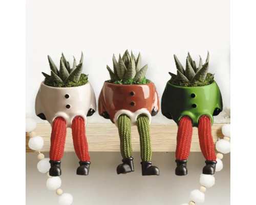 Drei dekorative Pflanzgefäße in Form von Figuren mit Sukkulenten auf einem Regal