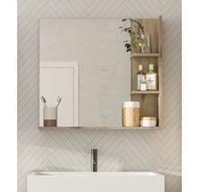 Badezimmer mit Spiegelschrank inklusive Regalfächern über einem Waschbecken