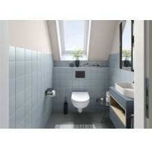 Badezimmer mit Toilette, Waschtisch und Dachfenster