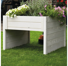Hochbeet aus Holz mit Blumen bepflanzt im Garten