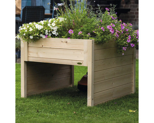 Holzhochbeet mit verschiedenen Pflanzen