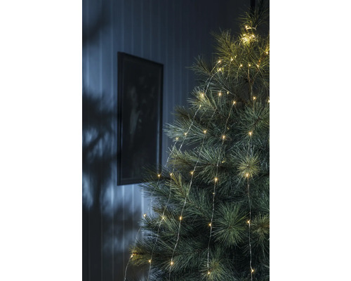 Nahaufnahme eines Weihnachtsbaums mit Lichterkette
