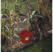 Rote Gießkanne im Gartenbeet zwischen Pflanzen