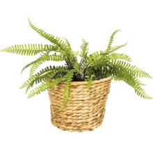 Künstlicher Farn in einem Korb