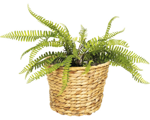 Künstlicher Farn in einem Korb
