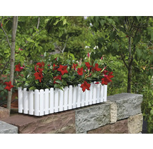 Blumenkasten mit roten Blüten auf einer Steinmauer im Garten