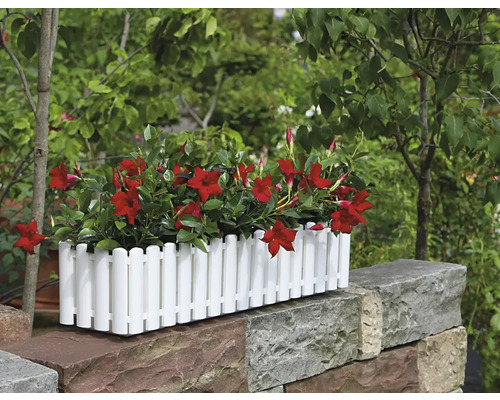Blumenkasten mit roten Blüten auf einer Steinmauer im Garten
