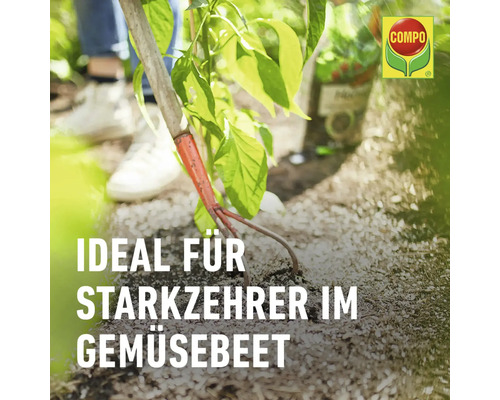 Gemüsegarten mit Gartenwerkzeug und Compo Logo.