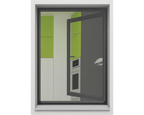 Geöffnetes Fenster mit Insektenschutzgitter