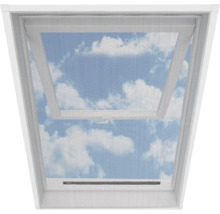Dachfenster mit Insektenschutzgitter im geöffneten Zustand, Blick auf den Himmel