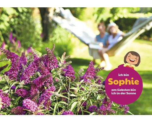 Schmetterlingsflieder im Garten mit entspannten Personen in der Hängematte