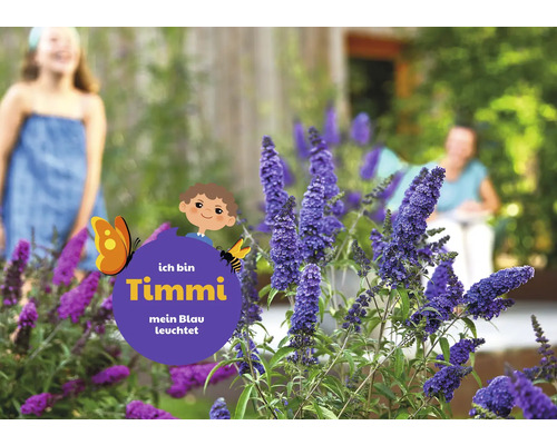 Schmetterlingsflieder im Garten mit Kind im Hintergrund