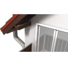 Taubenabwehrspikes auf einem Dach und einer Regenrinne installiert