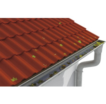 Dach mit Dachrinne und Laub