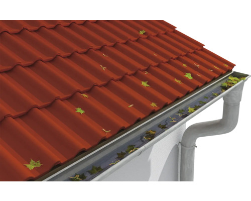 Dach mit Dachrinne und Laub