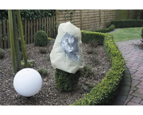 Gartenszene mit Pflanzenschutzhülle und Gartenleuchte
