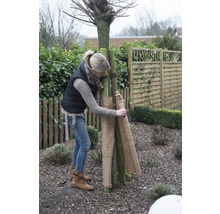 Eine Frau schützt einen Baum im Garten mit Jute vor Frost.