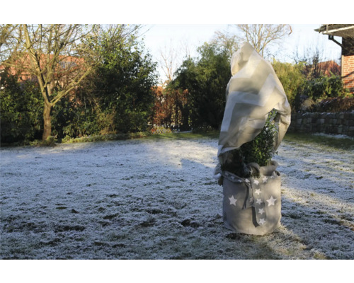 Eingepflanzte Pflanze mit Frostschutzvlies und Pflanzsack im Garten.