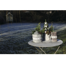 Weihnachtliche Gartendekoration mit Pflanzen in Stofftöpfen auf einem Tisch