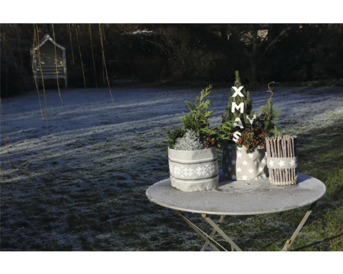 Weihnachtliche Gartendekoration mit Pflanzen in Stofftöpfen auf einem Tisch