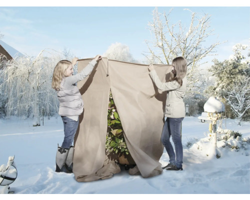 Winterschutz videx Thermomantel Ø 120 x H 110 cm 70 g/m² beige, Pflanzenschutzhülle Zwei Personen installieren eine Pflanzenüberwinterungshaube im Wintergarten