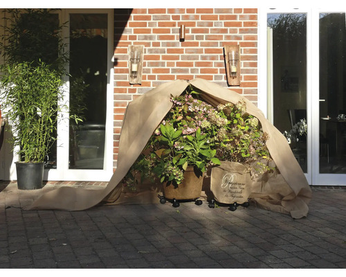 Garten mit Pflanzen in Töpfen unter einer Schutzabdeckung