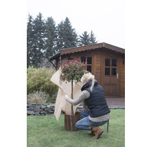 Frau schützt einen Baum im Garten mit einem Schutzvlies.