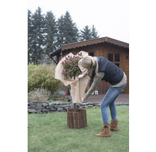 Eine Frau hantiert mit einem verpackten Strauch und einem Beetzaun im Garten.
