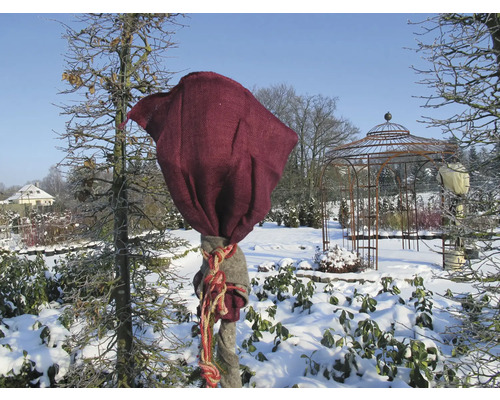 Eingepackter Baum im winterlichen Garten mit Pavillon