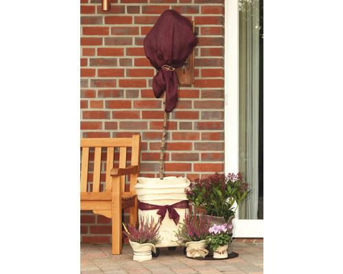 Dekorativer Gartenbereich mit Baum im Topf, Bank und verschiedenen Pflanzen