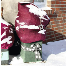 Pflanzenschutzhülle im Winter mit Sternanhänger und Schneebedeckung