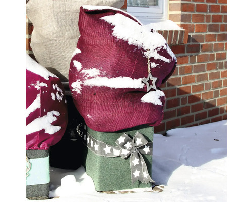 Pflanzenschutzhülle im Winter mit Sternanhänger und Schneebedeckung
