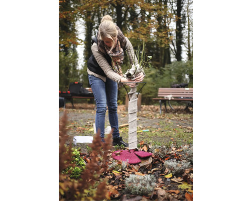 Frau arbeitet im Garten an einem Rosenstamm Winterschutz.