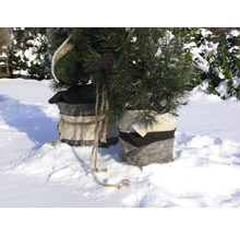 Zwei kleine Nadelbäume in Filzkörben im Schnee.