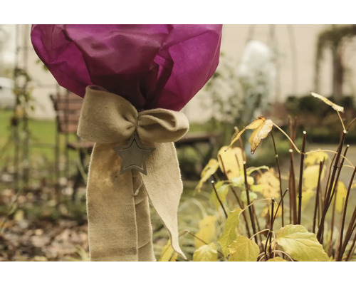 Dekoration mit Schleife und Sternanhänger im Garten