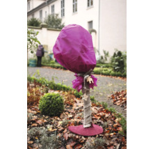 Pflanzenschutzsack zum Schutz von Pflanzen im Garten