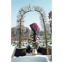 Wintergarten mit Baumtorbogen und Pflanzenschutz