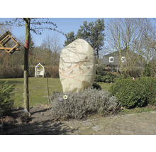 Gartenansicht mit Winterschutzhaube für Pflanzen
