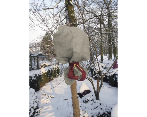 Winterlandschaft mit Baumstamm und Baumkrone in Schutzsäcken gehüllt